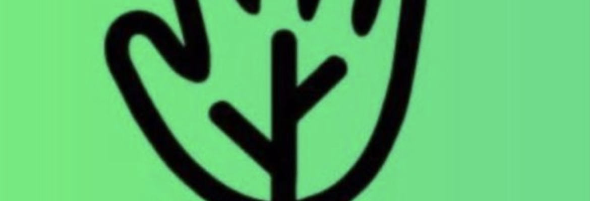 Volunteer to minimise loneliness at Activitree!!