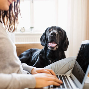 Mala Sicka Mala Sicka